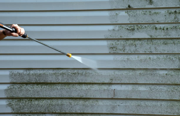 Best Affordable Pressure Washing  in Lake Sconsin, WI